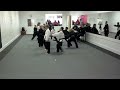 Team Tiger Demo