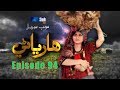 Sindh TV Soap Serial HARYANI EP 94 - 21-9-2017 - HD1080p -SindhTVHD