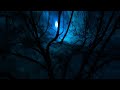 Blind Guardian-The Bard's Song (lyrics)
