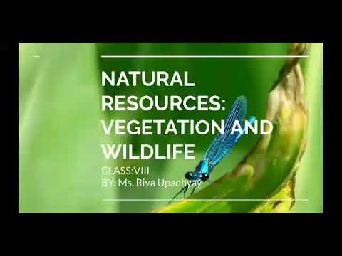 Natural Resources: Natural Vegetation and Wildlife Part 4 Class 8