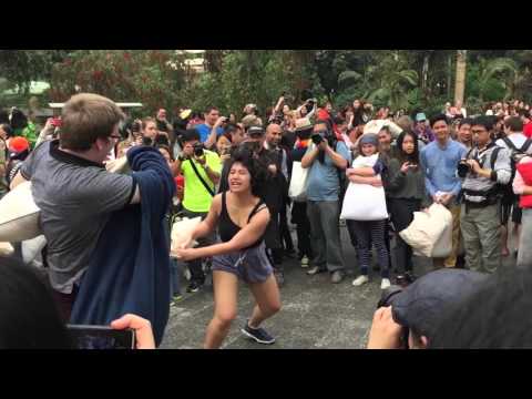 HK Pillow Fight Day HK Pillow Fight Day