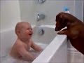 Top 10 Funny and Cute Dog Videos