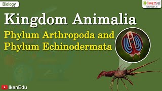 Kingdom Animalia: Phylum Arthropoda and Phylum Echinodermata | iKen | iKen  App | iKen Edu - YouTube