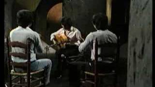トマティートのブレリア(1980)の画像