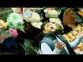 Igor Kme?o - Na?o pôjdem domov (OFFICIAL CLIP) Obrázok autora