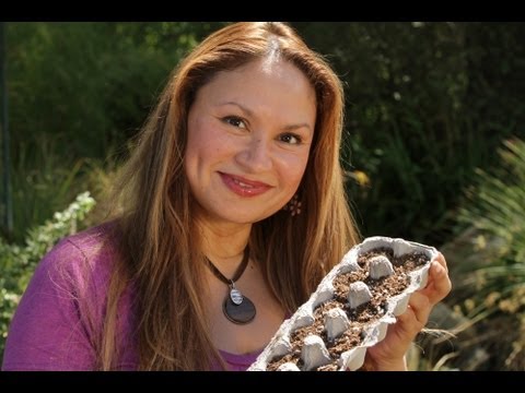 How to Start Seeds to Save Money on Plants For Your Garden: Gardening Tips