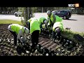 В городе завершается оформление цветочных клумб