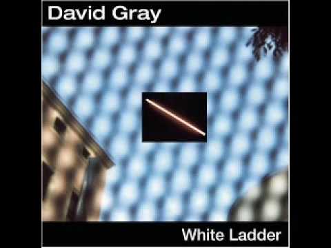 David Gray - Made Up My Mind