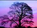 Pagan Magic - Air Element Magic Video