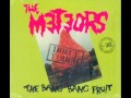 Don't touch the Bang Bang Fruit, The Meteors