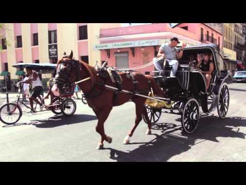 Cuba: Discover Havana with Bamba Experience