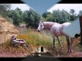 La Toscana e Bocelli.wmv