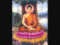 Chu Dai Bi ( Thay Trich Tri Thoat tung )
