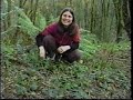 Edible & Medicinal Herbs 1 - Part 1 from herbaltransitions.com