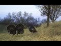 Wildlife Properties - Smith Center, KS