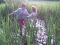 in the pond :)