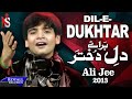 Ali Jee | Dil e Dukhtar | 2013 | علی جی شگفت انگیز بچه پاکستان
