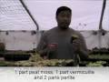 Plantas Carnivoras - Curso Iniciante 7 aulas (Video) Default