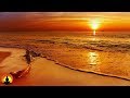 1 Hour Sleep Music: Peaceful Sleep, Delta Wave Sleep Therapy, Deeper Sleep ☯101