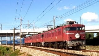 92632 JR系　特急電車 JR 485系特急電車 (ハウステンボス) セット (4両セット) (鉄道