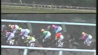 【希少】スタリオン・レヴュー 1986 vol.14 サラブレッド血統センター Stallions in Japan 2025