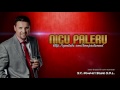 NICU PALERU - Satena cu ochi caprui Manele de Colectie