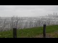 Sandy's Lake Erie Waves