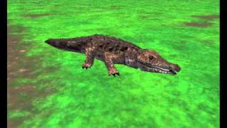 zoo tycoon 2 ultimate collection animals dowloads - YouTube
