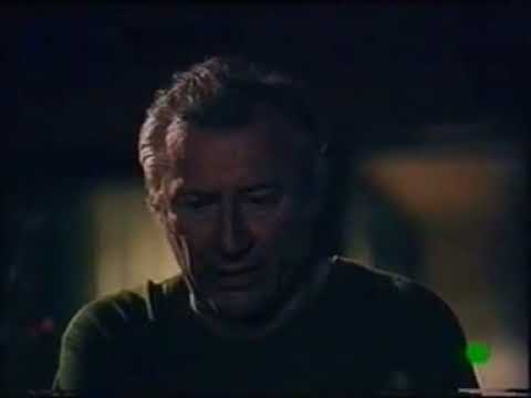 Moartea unui artist (1991)