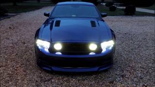 2013/2014 Mustang **GREEN** GT Fog light Vinyl Tint > perfectly cut to fit 2013/2014 Mustang **GREEN** GT Fog light Vinyl Tint > perfectly cut to fit