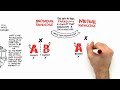 RSA Animate - Language as a Window into Human Nature