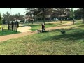 Danie Botha Elke dag as ek bid.mp4