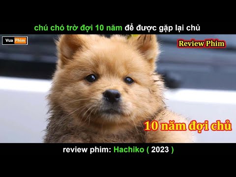 Chú chó Chờ đợi 10 năm để được Gặp lại Chủ - Review phim Hachiko 2023
