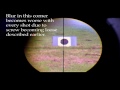 The I-Scope Review