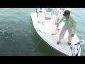 Reel Big Fish: Army Soldier KO's Goliath Grouper Fish! Chew On This