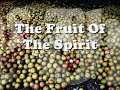Fruit Of The Spirit - Brentwood Kids