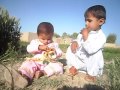 bannu mamakhel new garam dance 2013