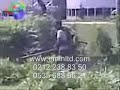 canavar başlık www.eminltd.com.wmv