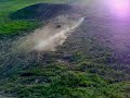 nitro monster truck/buggy racing