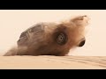 Monster Energy X-raid Team Teaser for the 2014 Dakar Rally