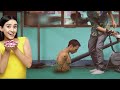 Honey Bunny Part 2 : Baby Kuchi Kuchi
