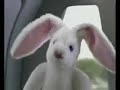 blaupunkt commercial - better version