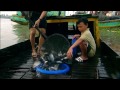 Mekong, the river of nine dragons (full documentary)