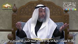 2294 - ديّة الأعضاء - ديّة ما في الإنسان منه اثنان كالعينين واليدين - عثمان الخميس