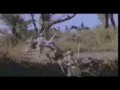 Shivaji Maharaj - He Hindu Shakti