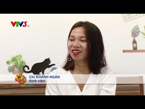 Nhân viên bán hàng cần trang bị những kỹ năng gì?