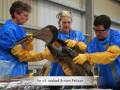 The TRUTH about the Deepwater Horizon Oil Spill Catastrophe
