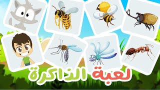 الحشرات للأطفال | لعبة الذاكرة (الحلقة 22) - لعبة البطاقات لكل العائلة – تعلم مع زكريا