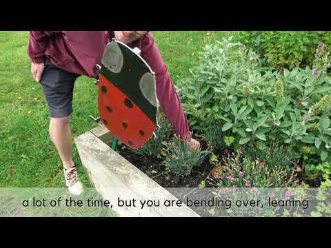 Carlisle Mencap Exercise - Gardening exercises