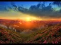 NIGHTWISH MEADOWS OF HEAVEN